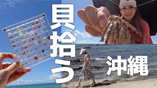 【64個の貝を拾え】地元の人しか知らない秘密のシーグラスビーチ！