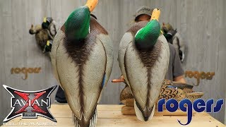 Avian-X Oversized Floating Mallard Duck Decoys