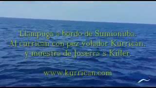 Llampuga a bordo de embarcación Sumionuba. Kurrican