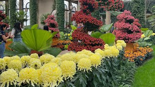 Longwood Gardens in PA（费城杜邦家族的长木公园）