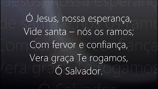 Hino 352 - Harpa Cristã - Jesus, Nossa Esperança