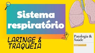 Histologia Do Sistema Respiratório Laringe E Traqueia Doovi