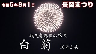 令和５年長岡まつり　8月1日戦没者慰霊の花火「白菊」