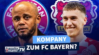 Kompany nächster Bayern-Kandidat – Leverkusen an Mainz-Talent Gruda dran | TRANSFERMARKT
