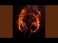 Echo in the Ashes