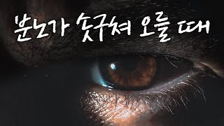 분노에 대처하는 방법 [동기부여 영상]