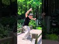 bajiquan xiao jia 唐强老师演练八极拳小架