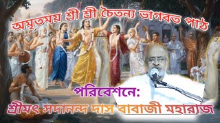 Sri Sri Chaitanya Bhagwat Katha   Poribasona: Srimad Sadananda Das Babaji Moharaj