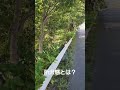 所沢感とは？？？