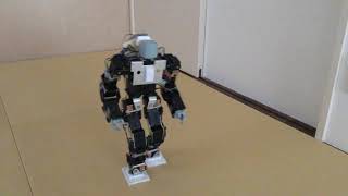 humanoid robot walk no gyro  Inverse kinematics