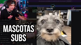 RUBIUS Reacciona a MASCOTAS de SUBS