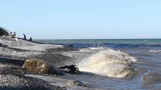 Segeln Ostsee 14 Einhand, Fahrt nach Klintholm