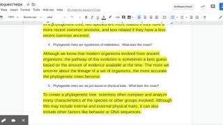 Day 5 Webquest helps - Google Docs