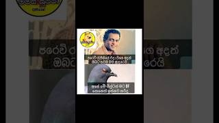 නයි මිරිස් කෑව ද බං.. #sinhala #memes #funny #comedy #jokes #Sinhala memes