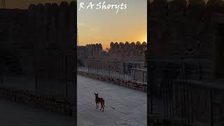 Day 23 Assi Khamba Baoli Gwalior Fort #minivlog #minivlogs #ytshorts #ytshort #shorts #ytshortsindia