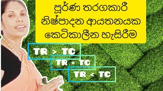 පූර්ණ තරගකාරී නිෂ්පාදන ආයතනයක කෙටිකාලීන හැසිරීම/A/L econ/ econ