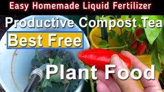 How to Make Fertilizer FREE Compost Tea Plant Food Organic to Grow Vegetables in Container Gardening