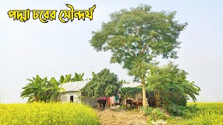 পদ্মা চরের সৌন্দর্য ও জীবন। টংগিবাড়ী। মুন্সিগঞ্জ। Bangladeshi Village Life