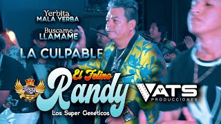 EL FELINO RANDY - Yerbita mala yerba - Búscame, llámame - Cúrame la Herida - La culpable