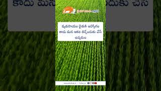 JHK Farmer Quote | Motivational quotes Telugu II Inspirational Quotes II Telugu Quotes|  @JaiHoKisan