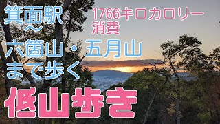 箕面駅〜六箇山〜五月山まで歩くトレッキング　１７６６キロカロリー消費