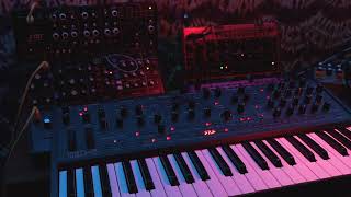 Cold Microtonal Drones (Oberheim TEO-5, Behringer Crave, Model D, Cat)