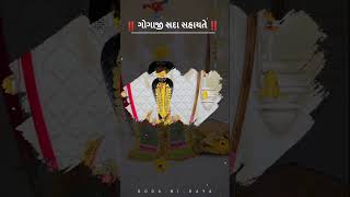 ગોગા મહારાજ ધામ શેભર #trending #viral #youtubeshorts #shortfeed#gujarati #sorts