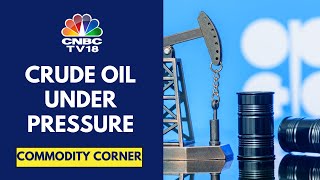 Crude Prices Decline After US Calls On OPEC To Reduce Prices | CNBC TV18