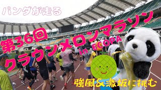 【第36回袋井クラウンメロンマラソン】激坂と強風の難コースに熊猫走友会が挑む。甘いメロンはGETできたのか？