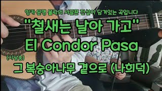 #김충식기타#6♡#철새는 날아가고 기타연주 (El Condor Pasa)ㅣ그 복숭아나무 곁으로/시낭송