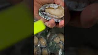 How to prepare the abalone before cooking