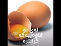 chicken eggs زانیاری دەربارەی هێلکەی مریشک بۆ خواردن