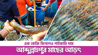 আব্দুল্লাহপুর মাছের আড়ৎ থেকে মাছের দাম জানুন / ১ কেজি কিনলেও পাইকারি দাম