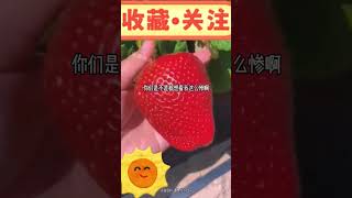 我生来就是做主角的#一口气看完 #故事 #小说 #推文 #流量密碼 #流量