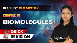 Biomolecules - Quick Revision | Class 12 Chemistry Chapter 10 | CBSE 2024-25