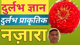 दुर्लभ ज्ञान दुर्लभ प्राकृतिक नजारा  || Rare Wisdom With Rare Beauty of Nature