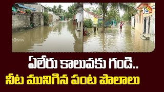 Yeleru Canal Water Floods | ఏలేరు కాలువకు గండి.. నీట మునిగిన పంట పొలాలు | 10TV News