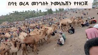 በ#ኢትዮጵያ #ትልቁ የግመል # ገበያ #የሚገኝበት የ#ባቲው# ሰኞ ገበያ ይህን ይመስላል ።