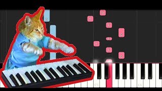 Keyboard Cat Theme (Piano Tutorial)