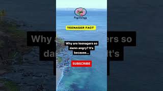 Teenager Fact #shorts #lovefact #truepsychology #viral #youtubeshorts