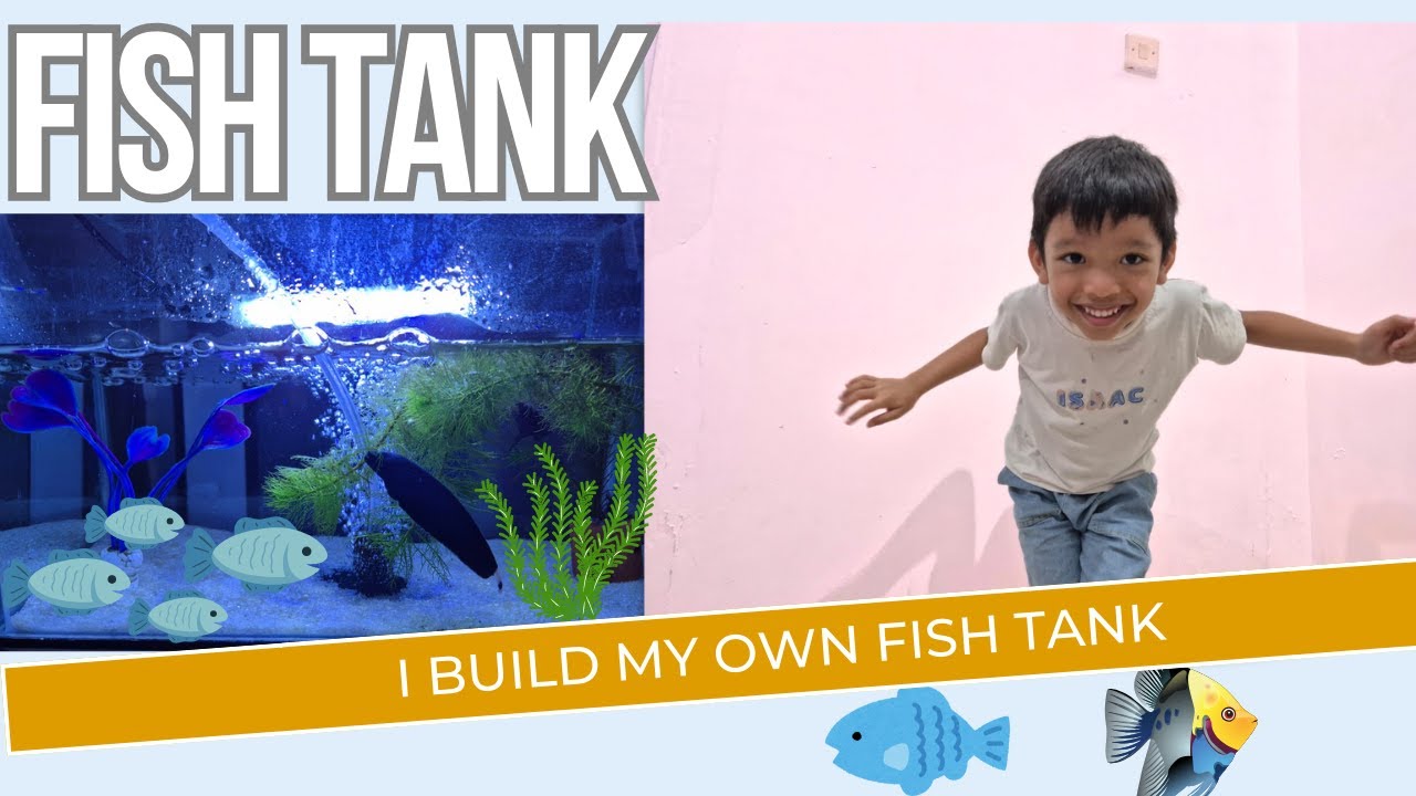 I Build My Own Fish Tank Join Me On My Journey Of Building My Very