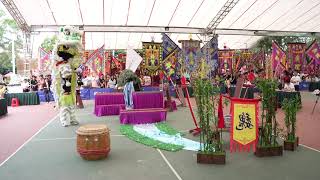 Lion Dance | 2024年广东省大学生舞龙舞狮锦标赛，大学甲组男子传统南狮 华南农业大学  醒狮表演  传统文化  龙狮文化