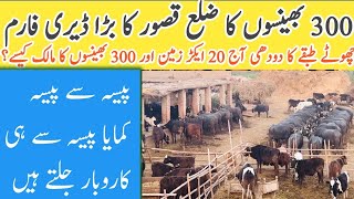 Dairy Farming Business in Pakistan | Best Farm in Kasur Punjab