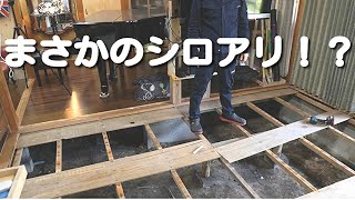 DIY グランドピアノ床下補強とシロアリ part2