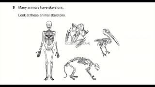 Cambridge primary checkpoint Science 0846/01 April 2016 paper 1