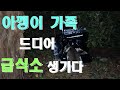 아깽이 가족 새 급식소 생기다