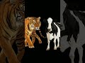 Tiger vs all animals #animal #lion #trend #shorts