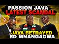 passion java latest scandal java betrayed ED Mnangagwa,an audio has leaked Vachidakuuraya mumwe vavo
