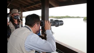 黑面琵鷺保育季開幕 黃偉哲邀 賞黑琵 吃海產 逍遙遊