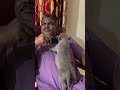 അച്ഛാ ഒരു മുത്തം അല്ലേ😂ഞാൻ ഒന്ന് തന്നോട്ടെ😁 americanbullykerala viralvideo cutedog funny doglover